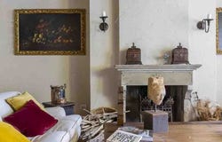 Massarosa, Tuscany 55054