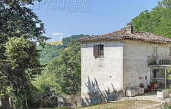 Urbino, Marche 61029