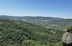 Parrano, Umbria 05010