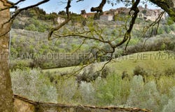 Siena, Tuscany 53100