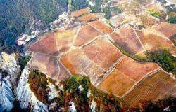 Serole, The Piedmont 14050