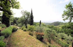 Buggiano, Tuscany 51011