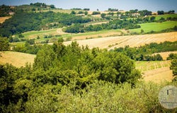 Todi, Umbria 06059