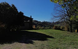 Pergola, Marche 61045