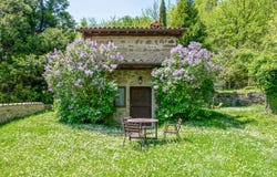 Castelfranco di Sopra, Tuscany 52020
