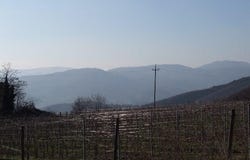 Rufina, Tuscany 50060