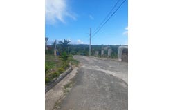 44 WHITE RIVER, Marvins Park, St. Ann