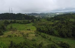CHIPPENHAM PARK, BAMBOO, Bamboo, St. Ann