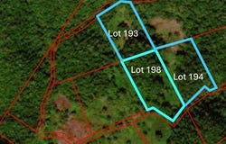 UNITY lot: 194, Bunkers Hill, Trelawny