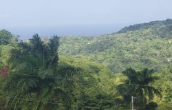LIBERTY HILL, Lime Hall, St. Ann