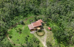 1 WINEFIELD ESTATE, Higgin Town, St. Ann