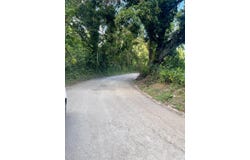 51 LIME HALL CONTENT, Lime Hall, St. Ann