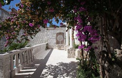 Kotor, Kotor Municipality