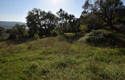 Land with view in Tivat, Tivat, Tivat
