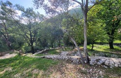 Risan, Kotor Municipality 85337