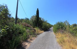 Plot in Bigovo, Kotor, Kotor