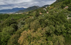 Kavac, Kotor Municipality