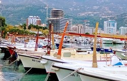 Budva, Budva Municipality 8513