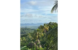 Le Robert, Martinique 97231