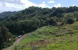 Le Lamentin, Martinique 97232