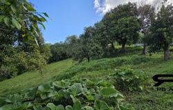 Le Robert, Martinique 97231