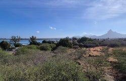 Tamarin, Mauritius