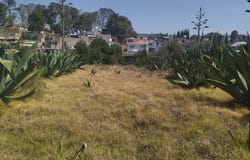 Calle de Vargas 31, Tlalmanalco de Velázquez, Tlalmanalco, México, Tlalmanalco, Mexico 56700