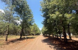 Camino a Pátzcuaro 0, , Pátzcuaro, Michoacán de Ocampo, Patzcuaro, Michoacan
