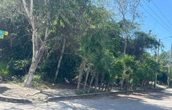 zetina gazca, Puerto Morelos, Quintana Roo 77580