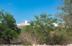 calle 35B, Gran San Pedro Cholul, Yucatan 97305