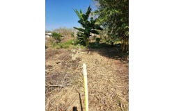 21, 3, Telchac, Yucatan 97404