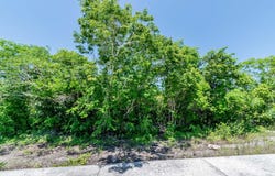 Quintana Roo, Benito Juárez, Cancún, Cancún Centro, Cancún Centro, Quintana Roo