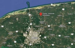 TABLAJE 22653, Chicxulub Puerto, Progreso, Yucatán, Progreso, Yucatan 97330