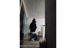 1137 MIRAMAR, Puerto Vallarta, JALISCO