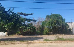 MALPICA 1714 L24 M373, Benito Juárez Norte, Coatzacoalcos, Veracruz de Ignacio de la Llave, Coatzacoalcos, Veracruz 96576