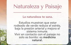 Poblado Hacienda Real de Chiapa Lote 11 Mnz C, Hacienda Chiapa, Cuauhtemoc, Colima, 28530, Cuauhtemoc, Colima 28530