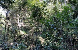 Jalisco, Jalisco