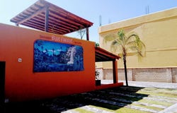 Blue Parrot 16, San Antonio Tlayacapan, Chapala, Jalisco, Ajijic, Jalisco 45920