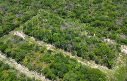 100, 719, Santa Cruz Palomeque, Yucatan 97315.0