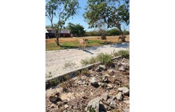 21, 3, Telchac, Yucatan 97404