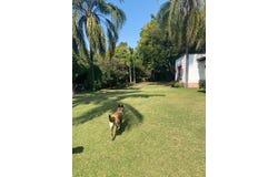 Camino a Tenampa, Malinalco, State of Mexico 52440