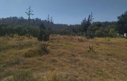 Calle de Vargas 31, Tlalmanalco de Velázquez, Tlalmanalco, México, Tlalmanalco, Mexico 56700