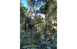 Jalisco, Jalisco