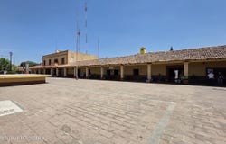 47 Jesus Cervantes, Sierra Madre Jalisco, JALISCO