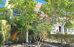Flamingo, 34, Puerto Morelos, Quintana Roo 77580