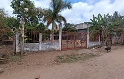 Nayarit, Nayarit