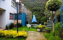 11126 Av Tetiz 468 int 1, Pedregal de San Nicolás 4A Sección, Tlalpan, Ciudad de México, Ciudad de Mexico, Ciudad de Mexico 14100