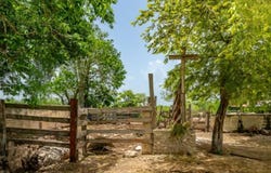 Calle 25 0, Holcá, Kantunil, Yucatán, Kantunil, Yucatan 97675