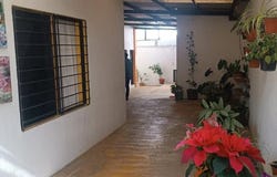 1a calle sur ote, Barrio La Pila 49, Comitán de Domínguez Centro, Comitán de Domínguez, Chiapas, Comitan de Dominguez, Chiapas 30070