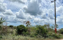 C. 22 & C. 31, Merida, Yucatan